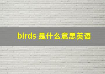 birds 是什么意思英语